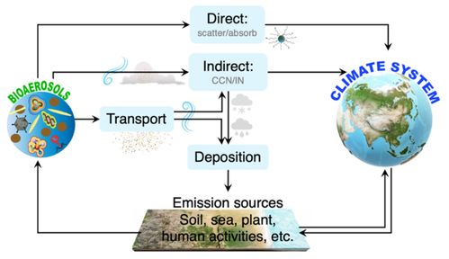 要茂盛课题组在国家科学进展发表生物气溶胶融汇空气质量 气候系统和人类健康的研究综述